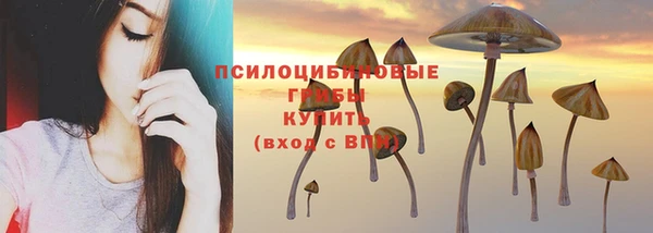 МДПВ Няндома