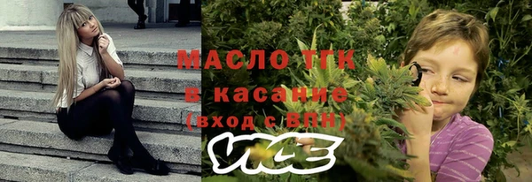 МДПВ Няндома
