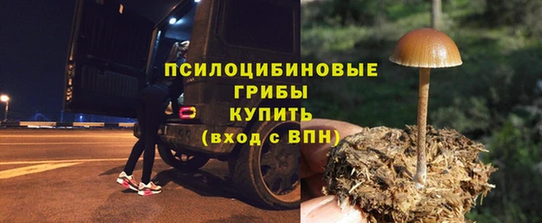 круглые Нягань