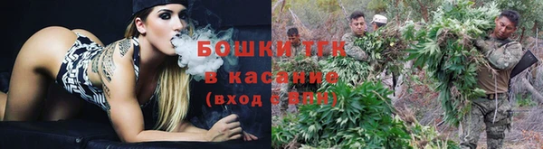 ALPHA PVP Нязепетровск